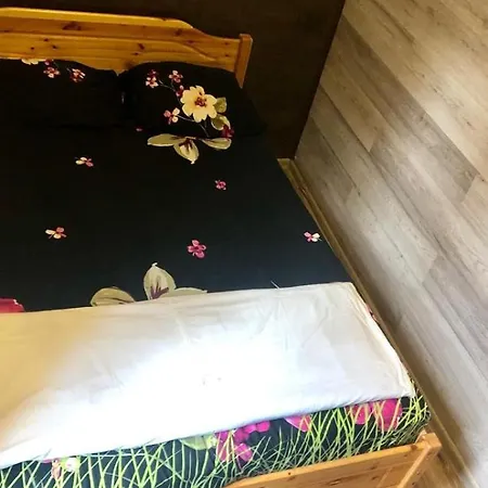 ホステル Travel リガ